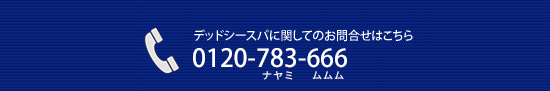 お電話でのご予約・お問い合わせ 045-914-7716