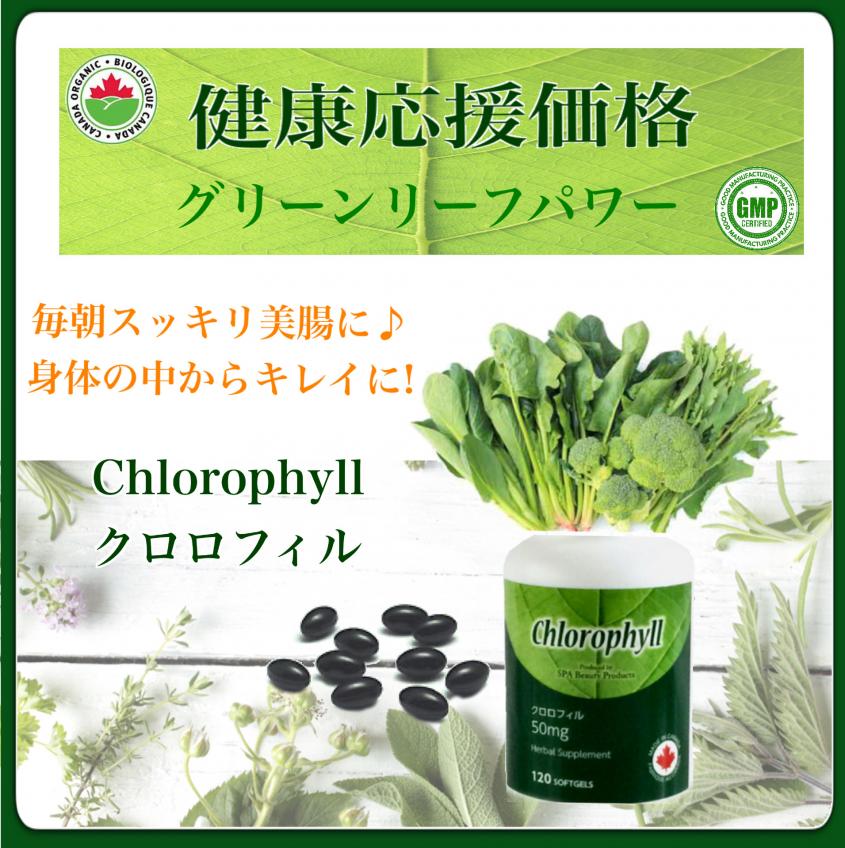 Herbal Supplement ハーバルサプリメント ナチュラルサプリメント クロロフィル 身体の中からスッキリ 緑の野菜不足解消に Kibbnet キブネット